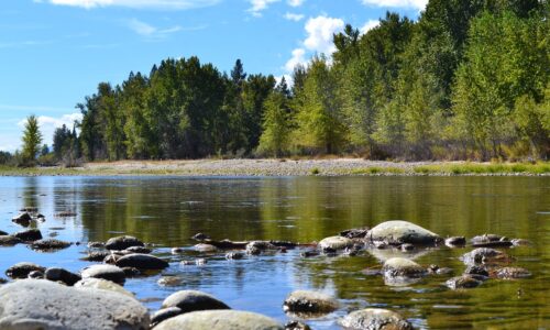 Research for Publication